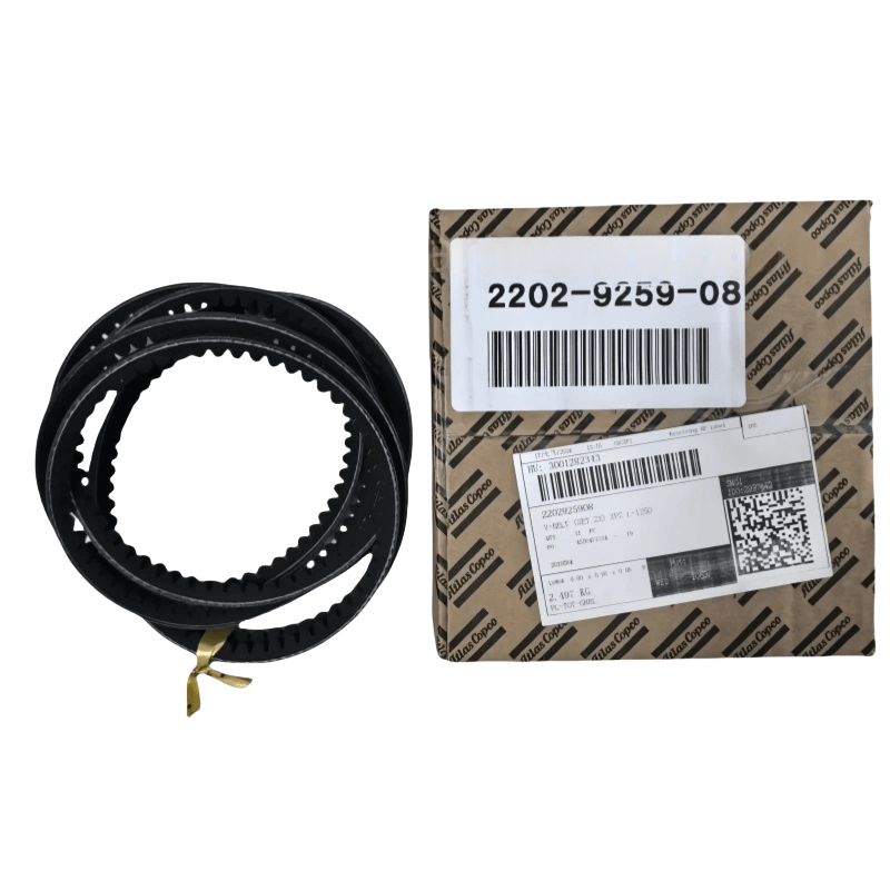 2202925908 Atlas Copco V-balteus (set 2x) Xpz l = MCCL ac oleum infusum stupra compressor originale